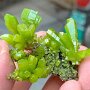 IMG_20250928_065440