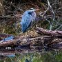 IMG_20250928_065527