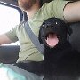 IMG_20250928_065743