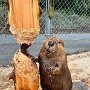 IMG_20260903_134632
