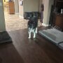 IMG_20260905_063319