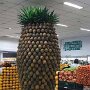 IMG_20260907_155512