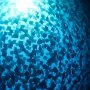 IMG_20260910_150318