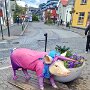IMG_20261016_140932