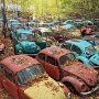 IMG_20261016_141047