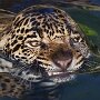 IMG_20261002_140044