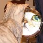 IMG_20261002_140249