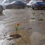 IMG_20261003_134239