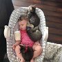 IMG_20261003_134247