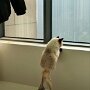 IMG_20261008_125752