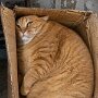 IMG_20261008_125911
