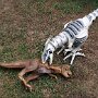 IMG_20261012_143403