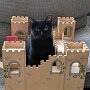 IMG_20261012_143518