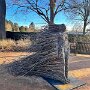 IMG_20260404_073008