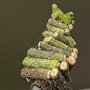IMG_20260405_083736