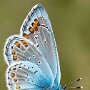 IMG_20260408_080433