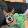 IMG_20260409_070558