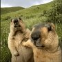 IMG_20260414_070323