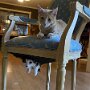IMG_20260421_070433