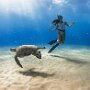 IMG_20260422_073835
