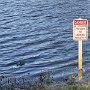 IMG_20260423_065755