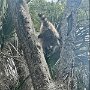 IMG_20260423_065814