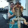 IMG_20260424_070635