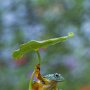 IMG_20260426_075750
