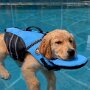 IMG_20260806_135658