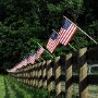 IMG_20260808_134542