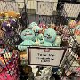 IMG_20260810_154830