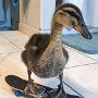 IMG_20260818_135012
