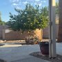 IMG_20260826_070727