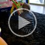 WP_20151107_09_50_55_Pro