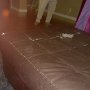 Cordie's 4th Birthday Party
