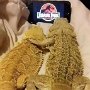 IMG_20221019_060938