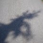 IMG_20230609_065312