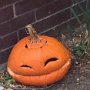 IMG_20231015_075411