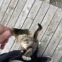 IMG_20240312_070833